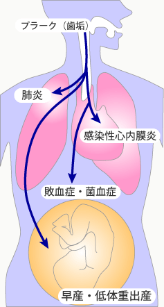 全身への影響